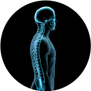 diagnosing neck pain neck pain