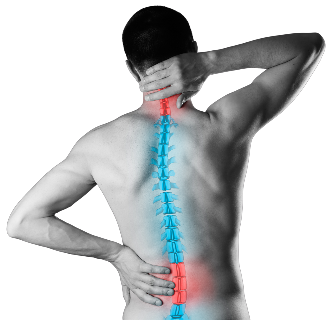 Neck & Lower Back - Spondylosis