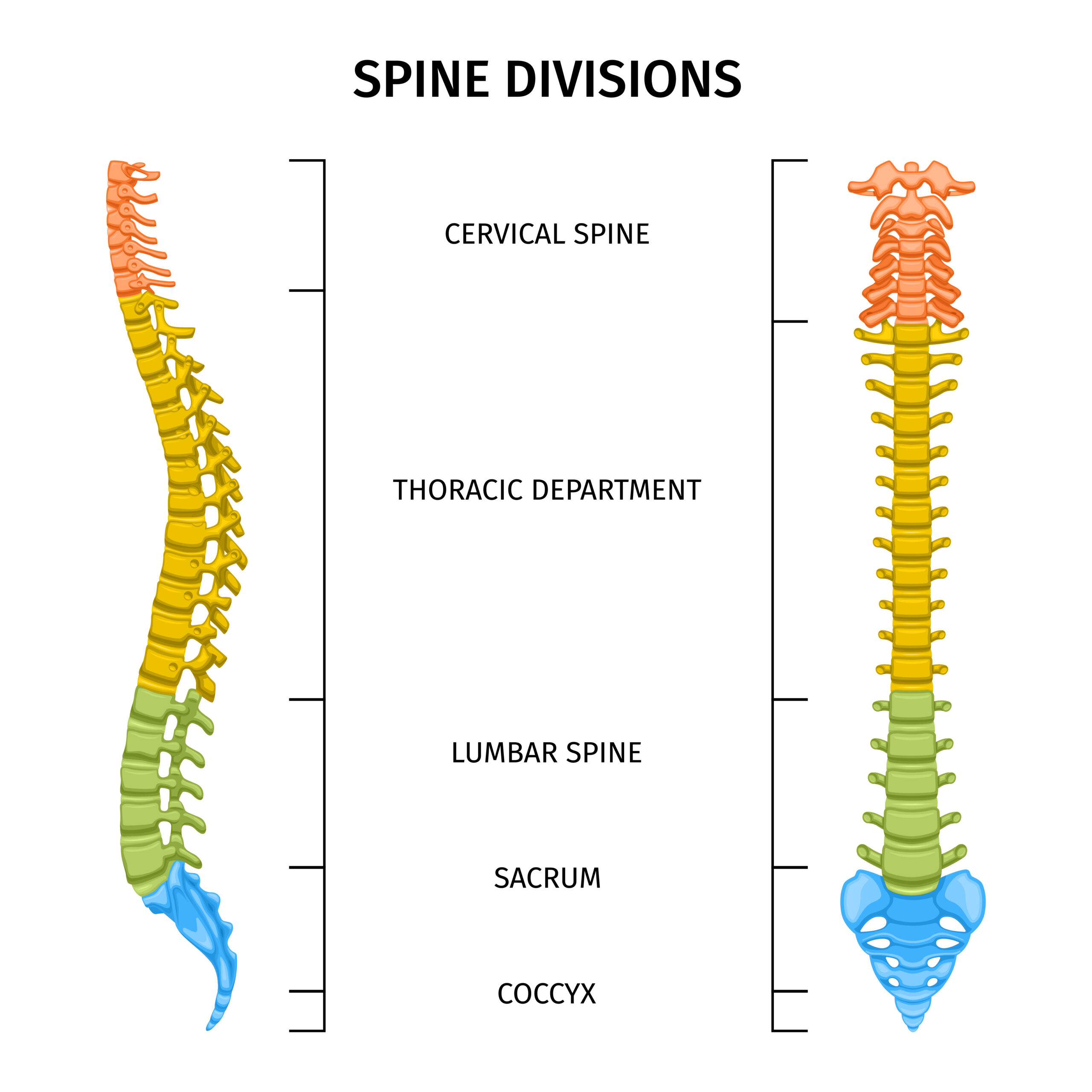 Understanding and Managing Middle Back Pain: Causes, Symptoms, and  Treatment - Singapore Paincare Center