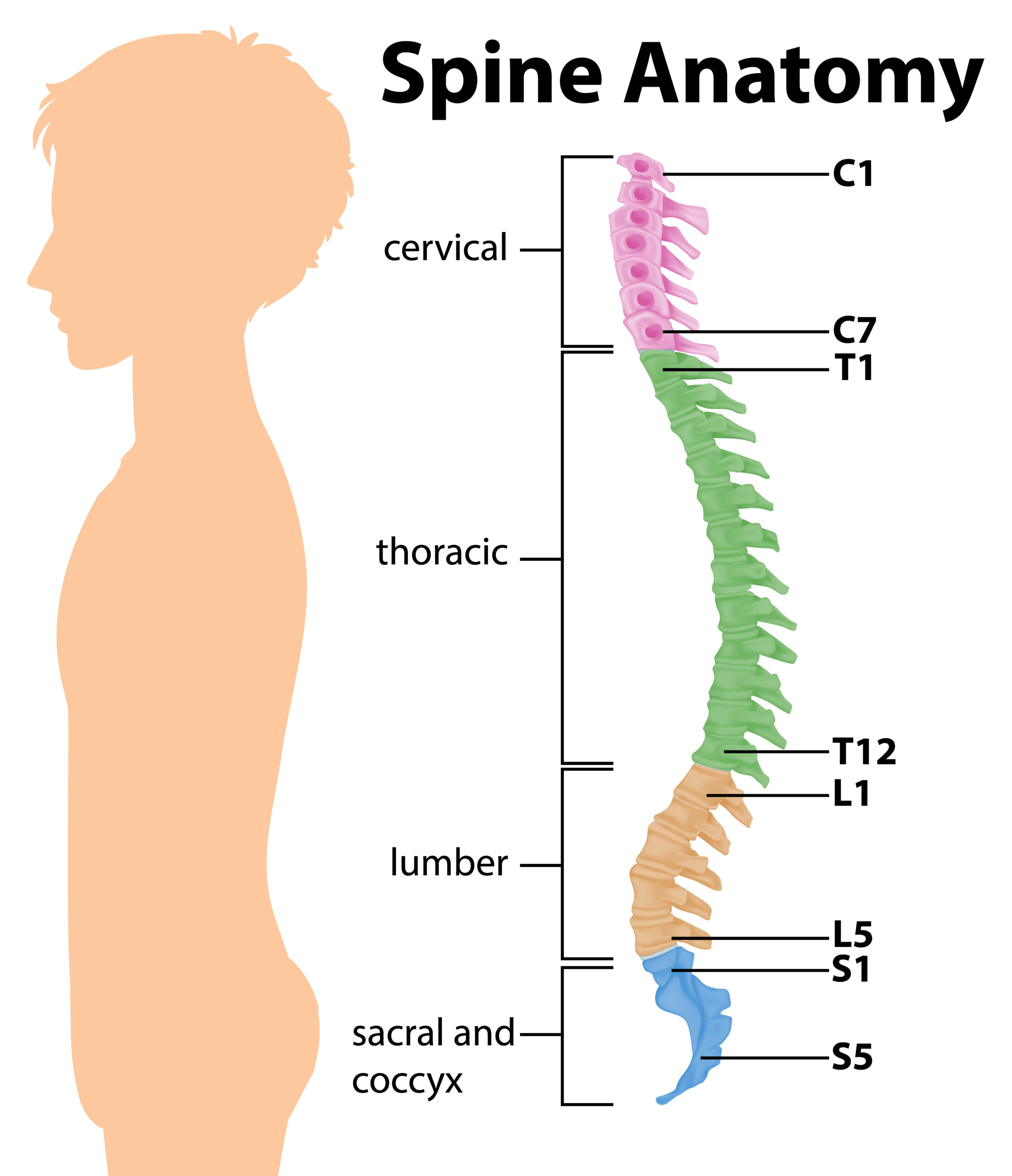 What Sleep Position is Best for Back Pain? by EIH